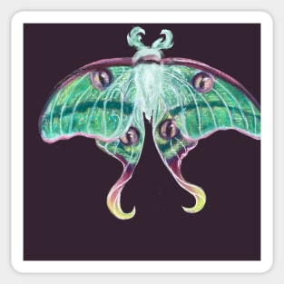 Chalk Luna Moth Sticker